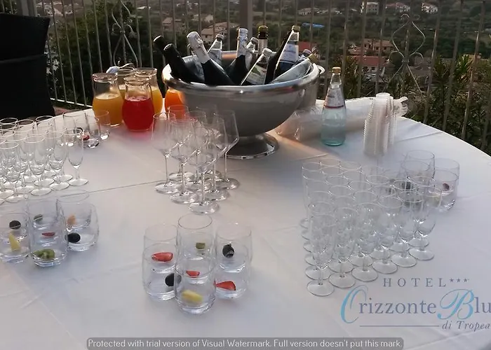 酒店 Orizzonte Blu 特罗佩阿